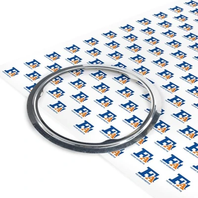 Image of 18307793678 Gasket, exhaust pipe FA1 100 921 Soot Particulate Filter BMW: 6 Coupe, 5 Touring, 3 Coupe
