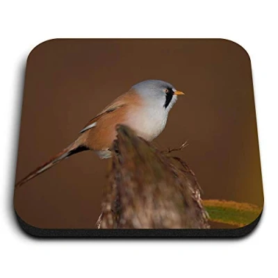 Image of 1 x Square MDF Fridge Magnet Pretty Bearded Tit Small Bird 46190