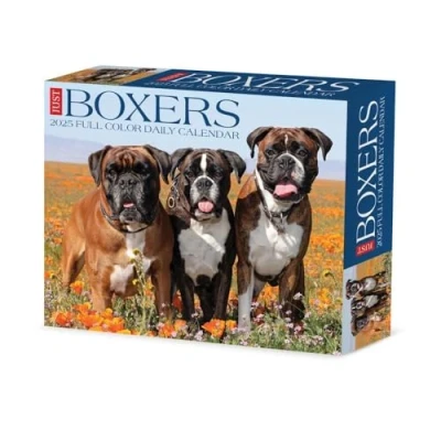 Image of Boxers 2025 Box