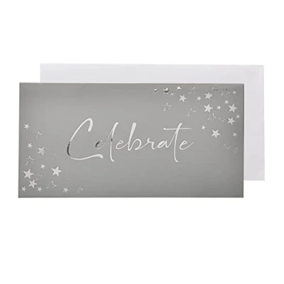 Image of Silver Birthday Christmas Money Wallet and Envelope Celebrate