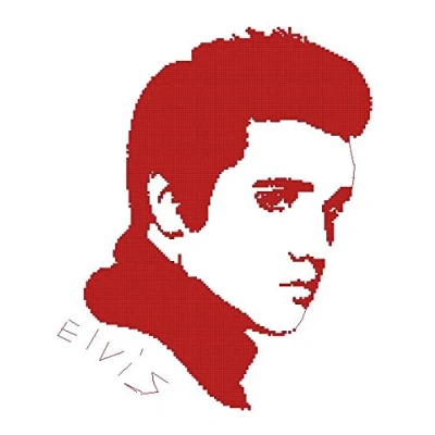 Image of Elvis, The King, Cotton,14count 150x180 Stitch,27x33cm Little Simple Portrait Counted Cross Stitch Kits