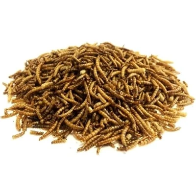 Image of *NEW* 500g Dried Mealworms Premium Wild Bird Food LPD
