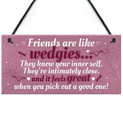 Image of RED OCEAN Novelty Funny Best Friend Birthday Plaque Shabby Chic Gifts For Her Women THANK YOU