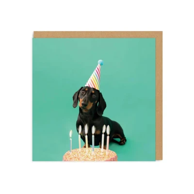 Image of Ohh Deer Cute Dog Birthday Card For Her In Party Hat Mum Sister Daughter Friend