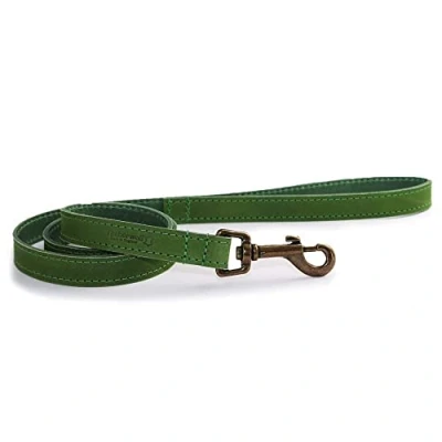 Image of Ancol Timberwolf Leather Lead Green 1mx19mm