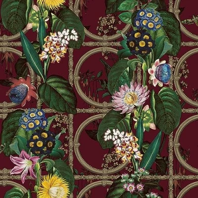 Image of Albany Wallpaper Alata 91434
