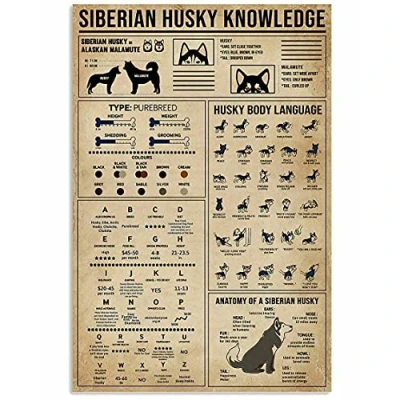 Image of TNND Siberian Husky Knowledge Gift For Dog Lover Cool Wall D¨cor Art Metal Sign Tin Poster 8x12 inch