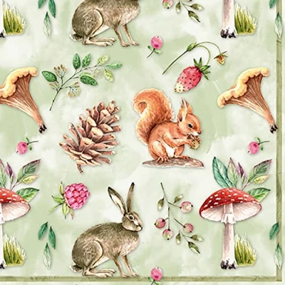 Image of Anniversary House PJ342018 Tiflair Woodland Animals Lunch Napkins 3 ply, Multi Coloured