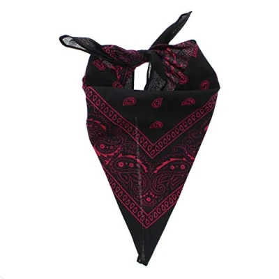 Image of Zac&#039;s Alter Ego Retro Vintage Style Cowboy Paisley Bandana/Neckerchief/Durag