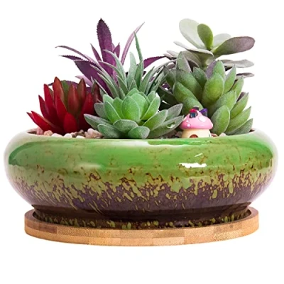 Image of ARTKETTY Succulent Plant Pot, 18.5CM Large Bonsai Pot with Tray Ceramic Drainage Hole Shallow Cactus Flower Pots for Indoor/Outdoor Plants Glazed Planter Bowl, Green