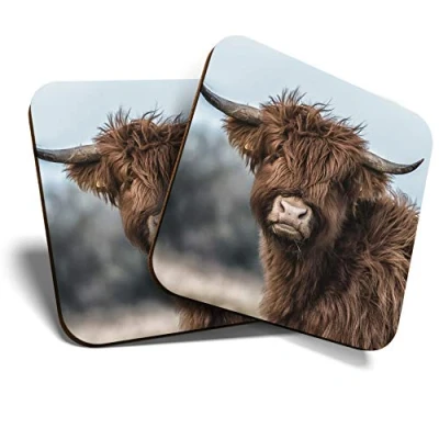 Image of Great Coasters (Set of 2) Square/Glossy Quality Coasters/Tabletop Protection for Any Table Type Fluffy Brown Highland Cow Scotland #16296