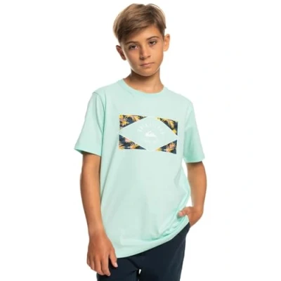 Image of Quiksilver Circled Line T Shirt for Boys 8 16