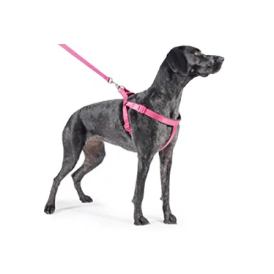 Image of Ancol Padded Nylon Dog harness Raspberry Pink XL 88 120 cm girth