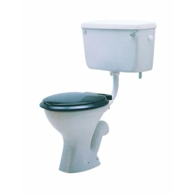 Image of Twyford Classic exposed cistern, single flush, bottom water supply connection, with lever. CC2841WH