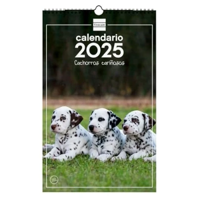 Image of Finocam Calendar Pictures of Spiral Wall to Write 2025 Month View January December (12 months) Puppies Spanish