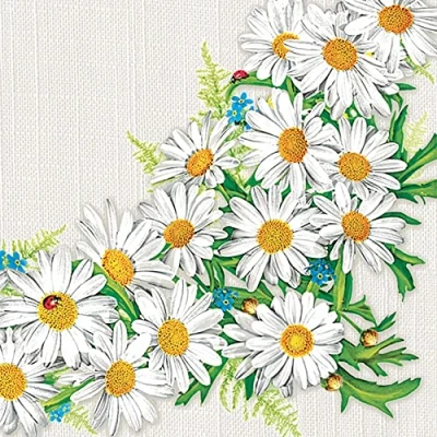 Image of DAISY 3 Ply Spring Flowers Tissue Paper Napkins Serviettes for Decoupage Lunch 33cm x Pack of 20 (DAISY Frame)