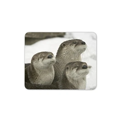 Image of Destination Vinyl Ltd Beautiful Otters Mouse Mat Pad Otter Marine Animal Fun Gift PC Computer #8534