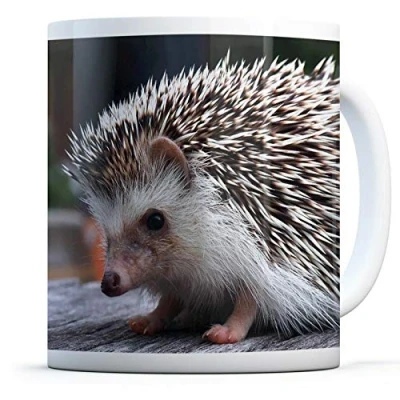 Image of Cute Adorable Hedgehog Drinks Mug Cup Kitchen Birthday Office Fun #8301