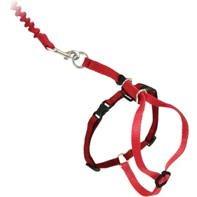 Image of PetSafe Easy Walk Cat Harness with Bungee Lead, Comfortable Control Adjustable Fit, Includes Stretchy Section, Medium Red