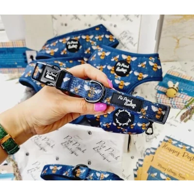 Image of BLUE BUZZY BUMBLE BEE DOG COLLAR M