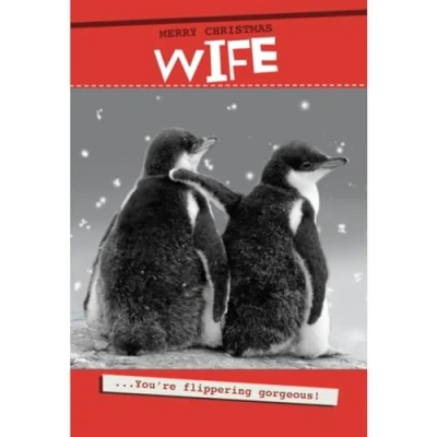 Image of Wife Christmas Card, Card For Wife, Funny