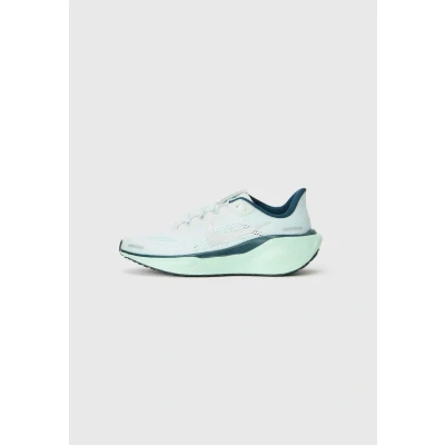 Image of Nike Air Zoom Pegasus 41