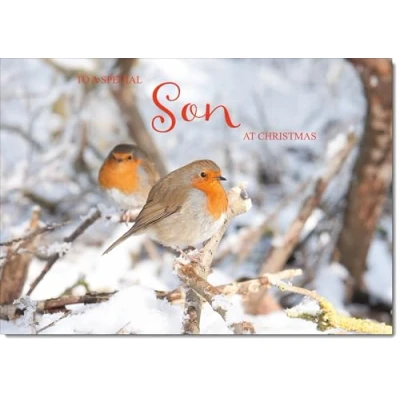 Image of doodlecards Son Christmas Card Two Robins in Tree Medium Size for with Plain Envelope