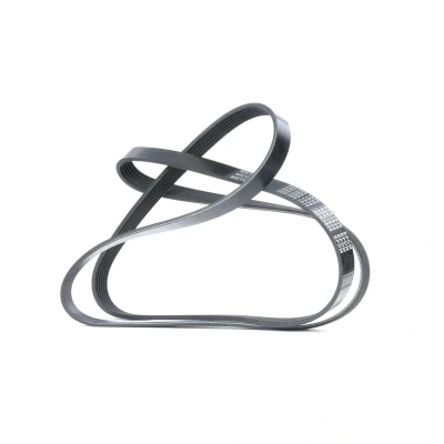 Image of 46546396, 46749665, 46759720, 55181713, 55189677 V ribbed belt MEYLE 050 006 1836 BMW: 3 Saloon, Touring, Coupe, RENAULT: MASTER 2 Kasten