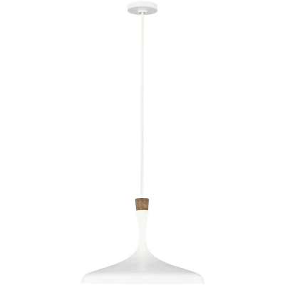 Image of Darwin 1 Light Pendant, Matt White, E27