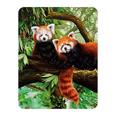 Image of 3D LiveLife Magnet Red Pandas from Deluxebase. Lenticular Wild Animal Fridge Magnet. Magnetic decor for kids and adults with artwork licensed renowned artist, Katrina Sokolo