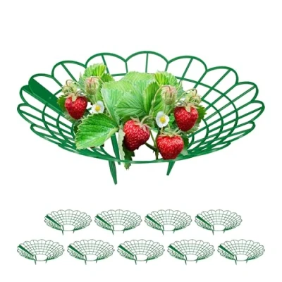 Image of Relaxdays Strawberry Support, Set of 10, Growing Rack, Snail Protection, Plastic Plant Stand, Prevent Rot &amp; Mould, Green, 10 x 30 cm