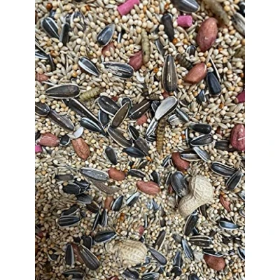 Image of Wild Bird Allsorts 1kg Premium Food LGW