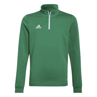 Image of adidas Unisex Kids Entrada 22 Training Top, team green/white, 11 12 Years