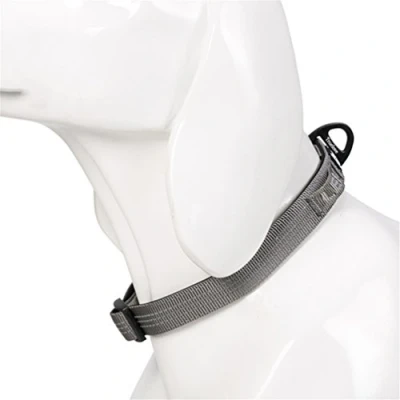 Image of WINHYEPET Dog Collars 4 Colors 4M Reflective Collar for Small Medium Large Dogs Puppy Adjustable Padded Soft Nylon Comfy Neck TLC5271