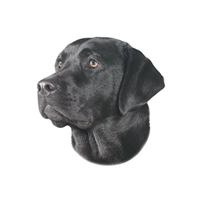 Image of Nobby Sticker Labrador, Black