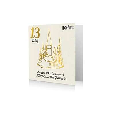 Image of Danilo Promotions,6X 6,Multi, HP043 Age 13 Harry Potter Card, Happy 13th Birthday Card Potter,