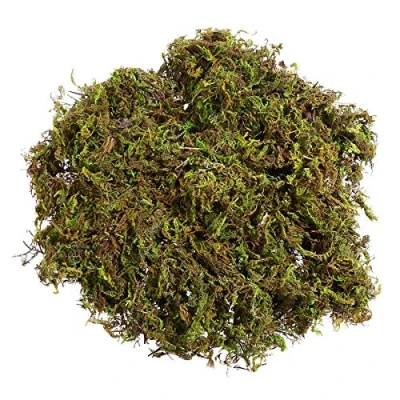 Image of WINOMO 1 Bag of Artificial Moss, Fake Green Lichen Plants for Home, Garden, Patio Decoration (60g)
