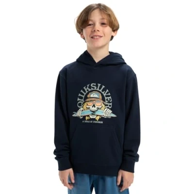 Image of Quiksilver Graphic Hoodie Youth Unisex Sweatshirt for kids, Size: 12y, Dark navy