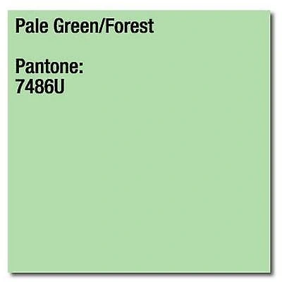 Image of 120 GSM A4 Coloraction Tinted Printer Copier Paper X 250 Sheet Green Forest 1 Ream of
