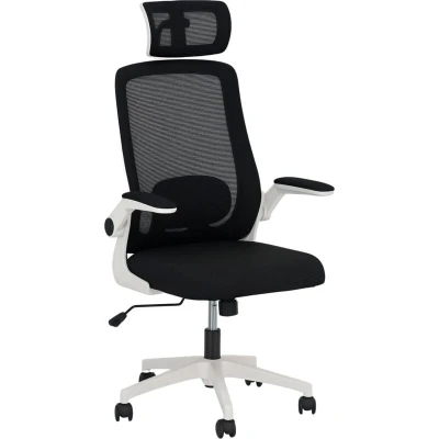 Image of HOMCOM Executive Office Chair, Ergonomic Mesh High Back Desk Chair with Flip up Armrest, Adjustable Lumbar Support, Rotatable Headrest, Swivel Computer for Home Study, Black