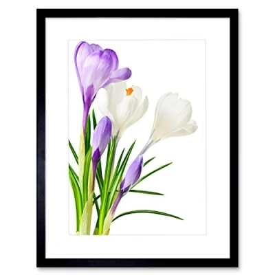 Image of Wee Blue Coo PURPLE WHITE SPRING FLOWERS BLOOM BLACK FRAME FRAMED ART PRINT PICTURE B12X8069