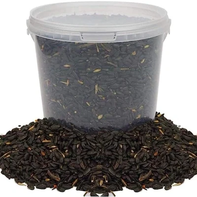 Image of BusyBeaks Black Oil Sunflower Seeds Premium Quality Garden Wild Bird Food Full of Protein, Rich in Mix Nutritious, High Energy Mixture Perfect Year Round Feeding for Birds (5L Tub)