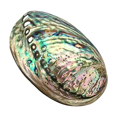 Image of Large Abalone Seashell, Multihole Decorative Smudging Shell Party Wedding Home Decorations Accessories 90x120x39mm Hole: Approx 3 9mm