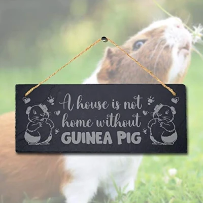 Image of Stukk House is Not Home Without Guinea Hanging Pig Cote Pigsties Sign, Natural Engraved Slate Stone Plaque, 30x12cm