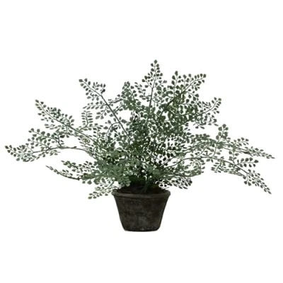 Image of Nearly Natural 4251 Maiden Hair Artificial Plant in Planter Green Small