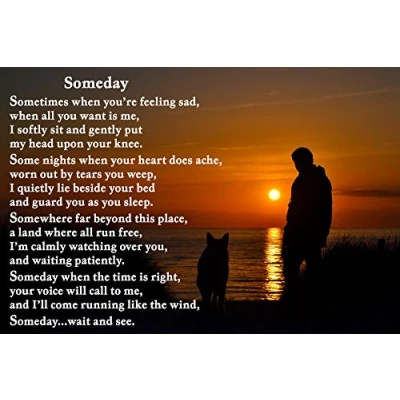 Image of Pet Loss Bereavement Sympathy Flexible Fridge Magnet / Magnetic Sign Dog Memorial Someday