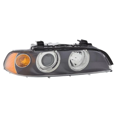 Image of 63126900198, 6900198 Headlights HELLA 1EL 008 053 521 BMW: 5 Saloon, Touring