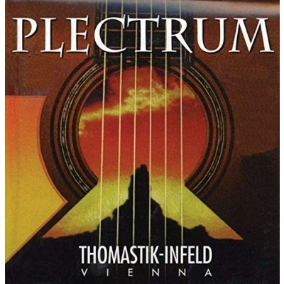 Image of Thomastik single string G .024 bronze with silk inlay, wound, flatwound AC024 for Acoustic guitar Plectrum Series set AC112