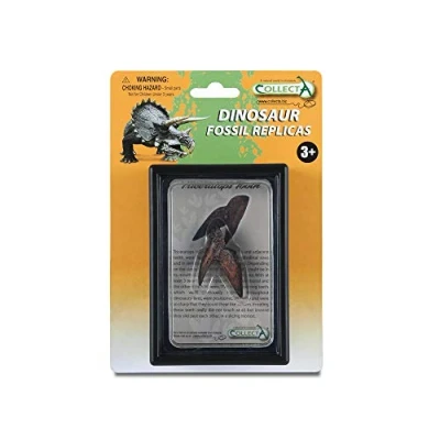 Image of CollectA Tooth Of Triceratops Box Set