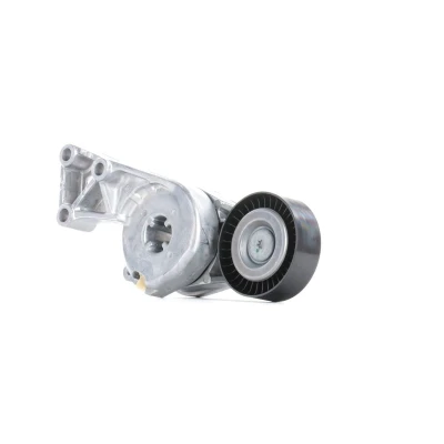 Image of 06A903315D, 06A903315E, 06A903315F Tensioner Pulley SKF VKM 31011 VOLKSWAGEN: Polo IV Hatchback, Golf 4, Transporter 5, SEAT: Ibiza 4 Sportcoupe
